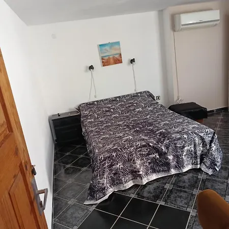 ели